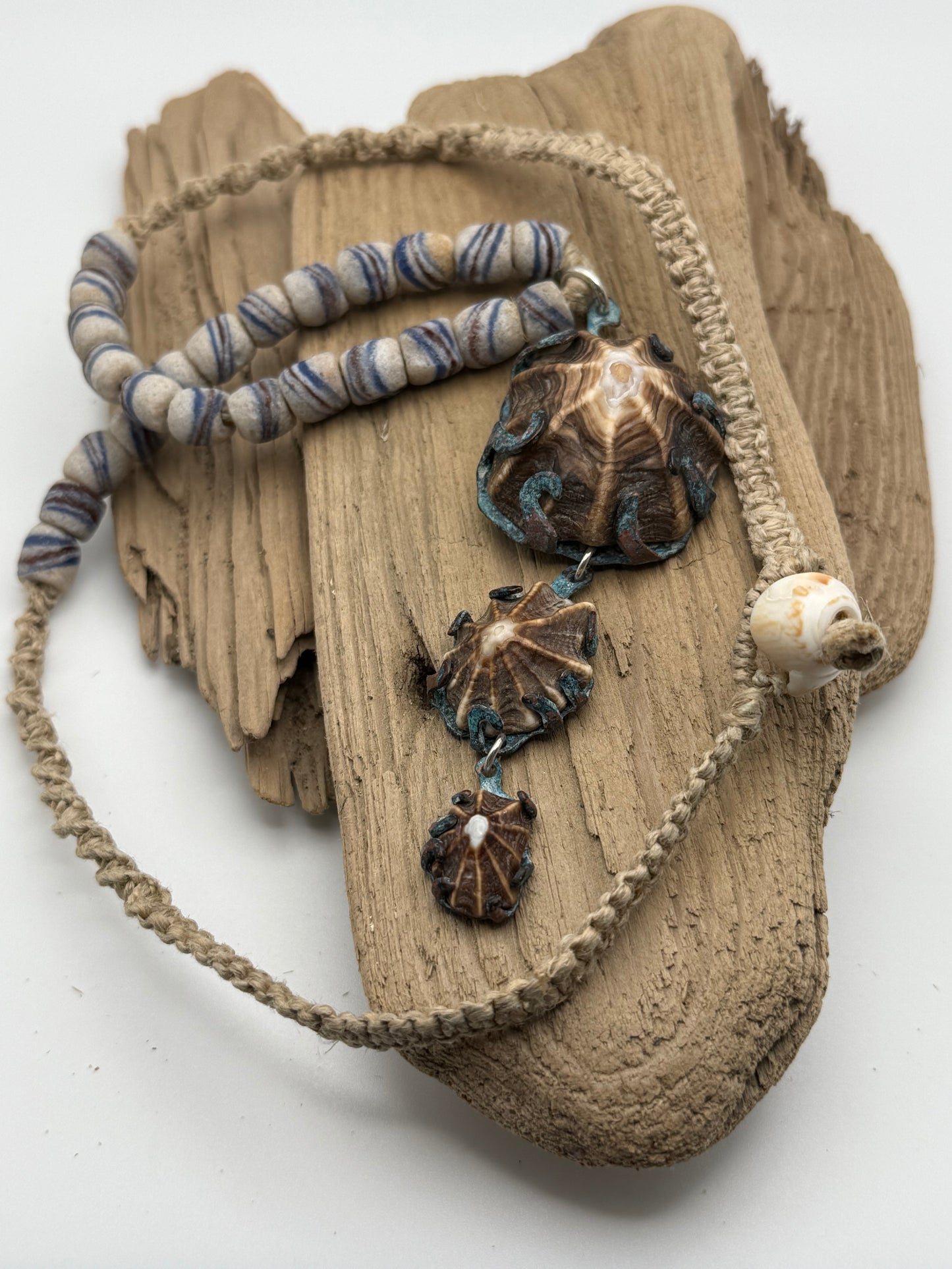 “Octopi” Limpit Shell Pendant