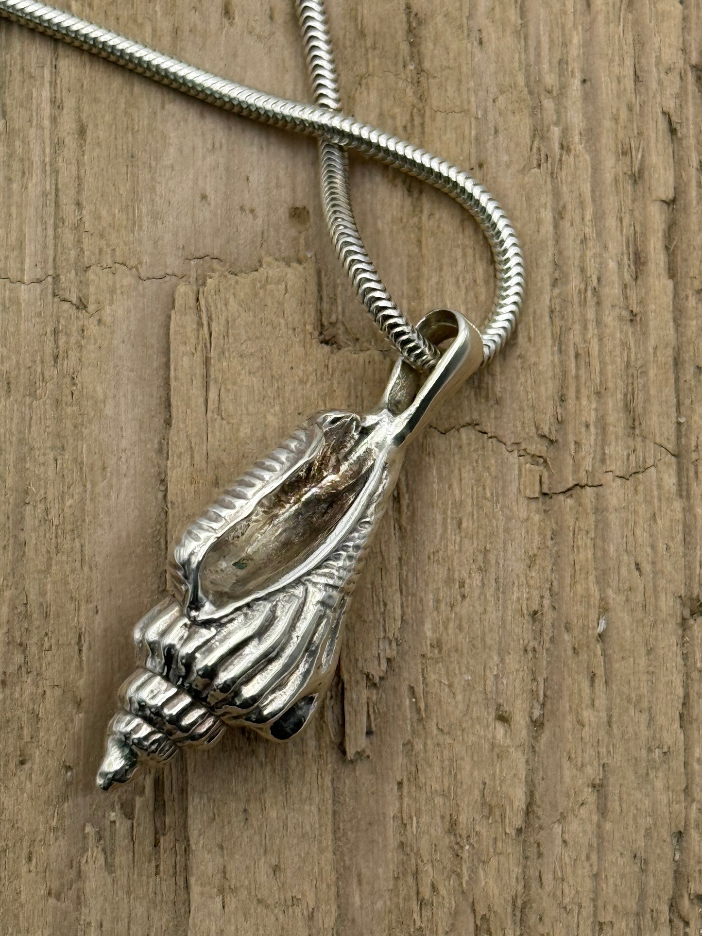 Sterling Silver Sea Shell Necklace