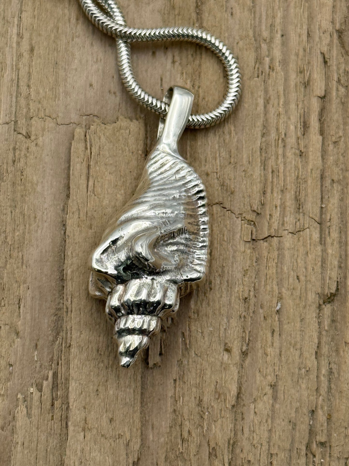 Sterling Silver Sea Shell Necklace