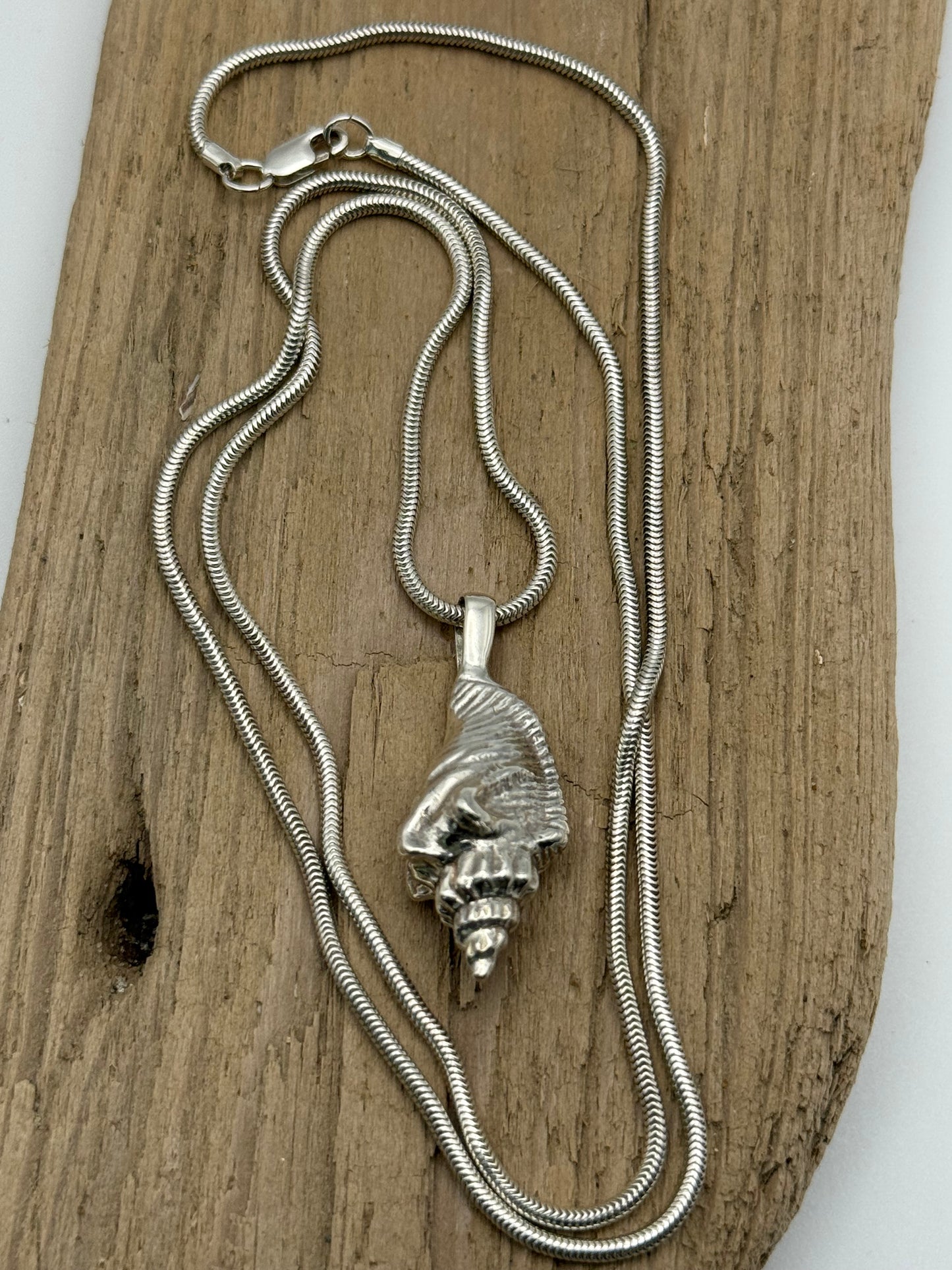 Sterling Silver Sea Shell Necklace