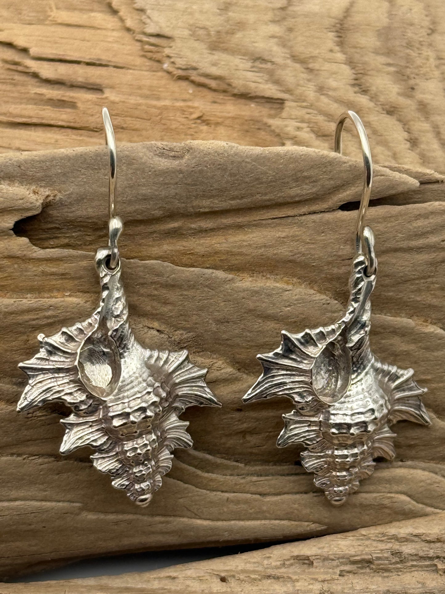 Sterling Silver Sea Shell Earrings