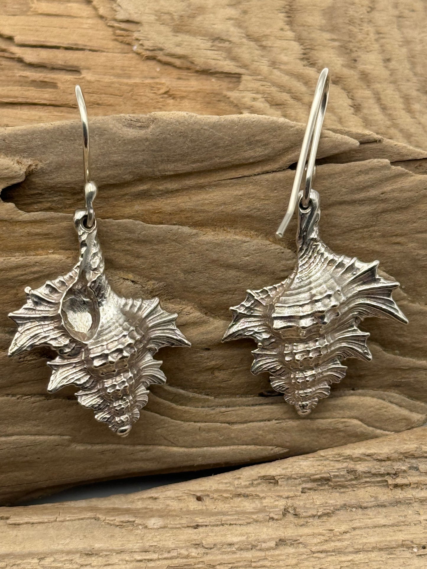 Sterling Silver Sea Shell Earrings